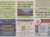 FAMILY RUN IN PRIMA PAGINA